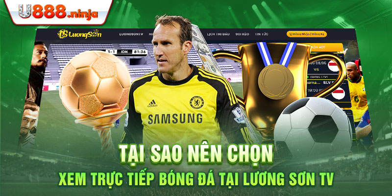 Tại sao nên chọn xem trực tiếp bóng đá tại Lương Sơn TV